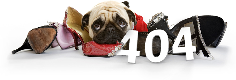 404-puppy